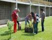 Estudiantes arborizaron zonas de la institucin 