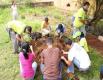 Estudiantes y trabajadores realizaron un vivero agroforestal
